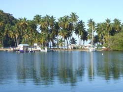 Mitsegeln