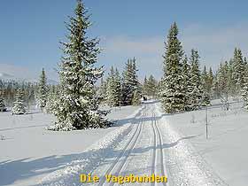 Ellingseter-Aktiv: Bild1