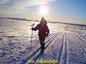 Skilanglauf