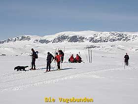 R&ouml;dungst&ouml;l: Bild1