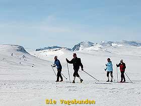 R&ouml;dungst&ouml;l: Bild3