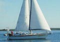 Reinke16